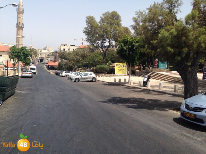 shate32 yaffasj (4).JPG